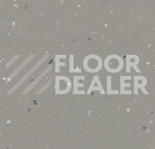 Линолеум Forbo SureStep Star 176922 concrete фото 1 | FLOORDEALER